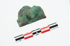 Foto von Bronzehelmbesatzscheibe (NHMW-PRAE-026696)